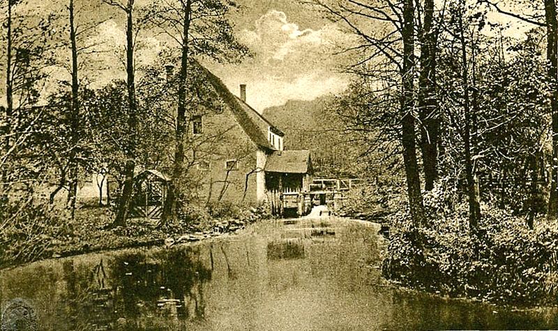 Die Waldmühle Portitz 1920
