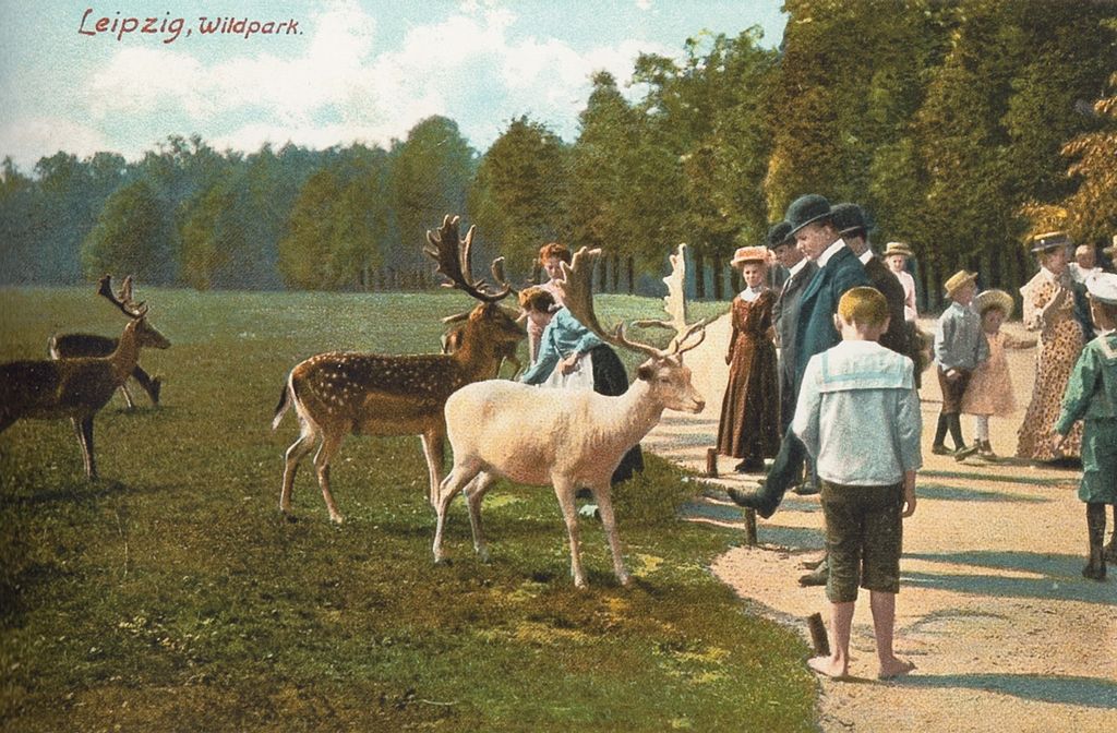 Im Wildpark Leipzig um 1910, Ansichtskarte / Public Domain