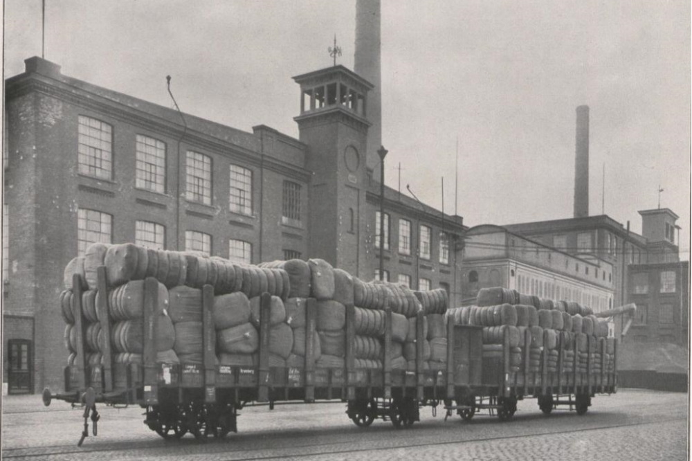 Die erste Baumwolle aus den Plantagen der Leipziger Baumwollspinnerei